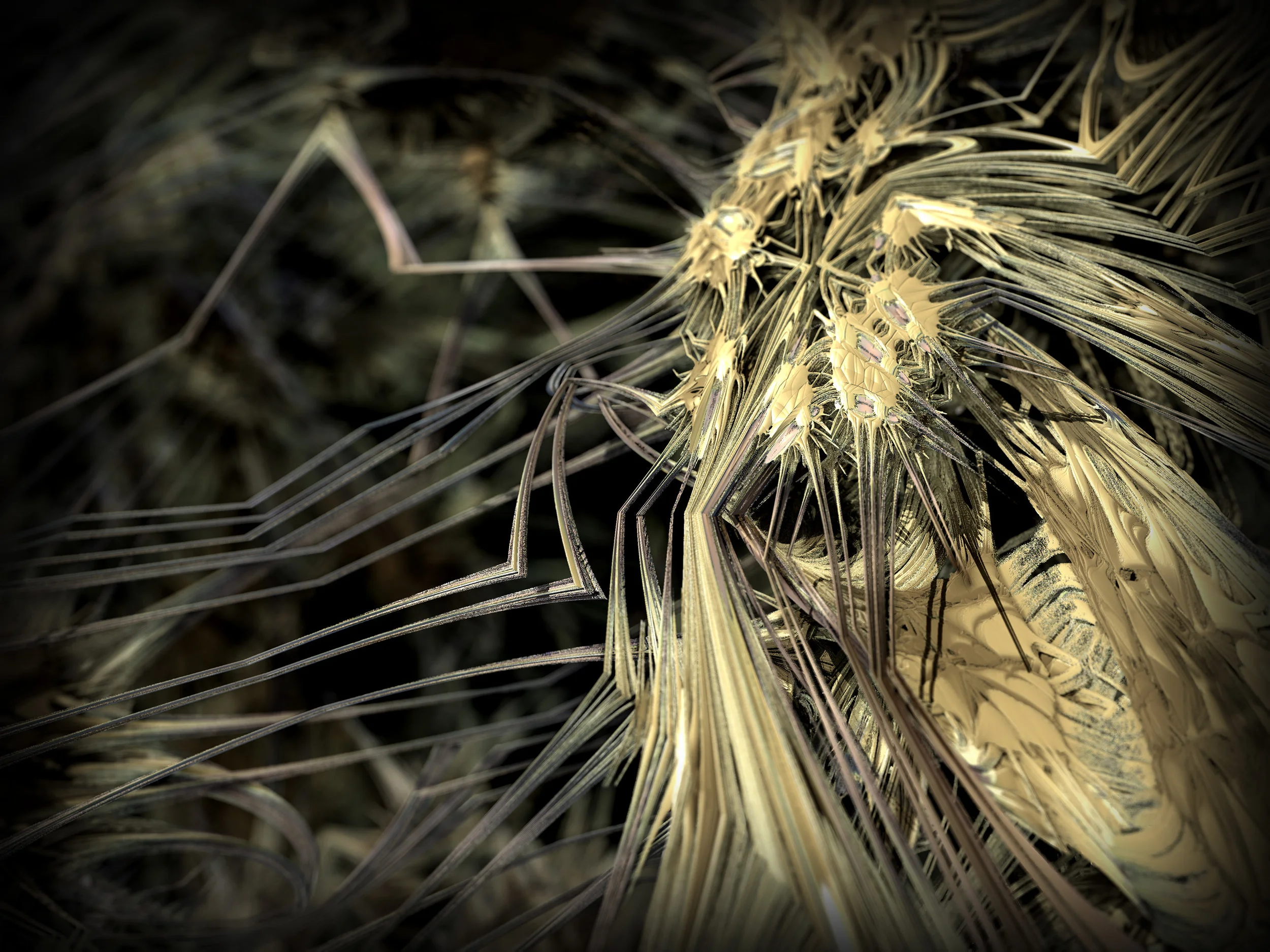 spiky2.jpg