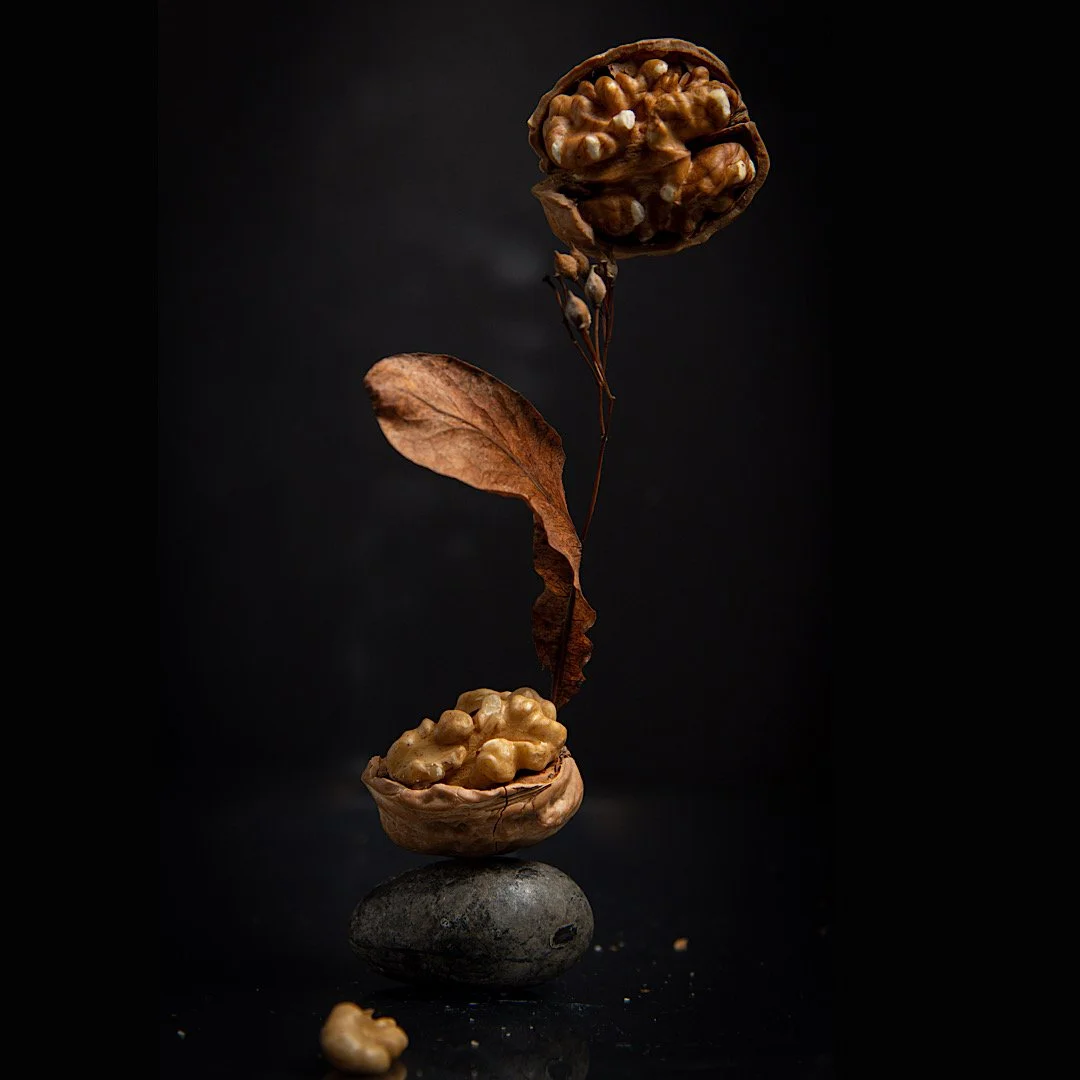 A tall arrangement of walnuts, a dry leaf, and a smooth stone on a black background.