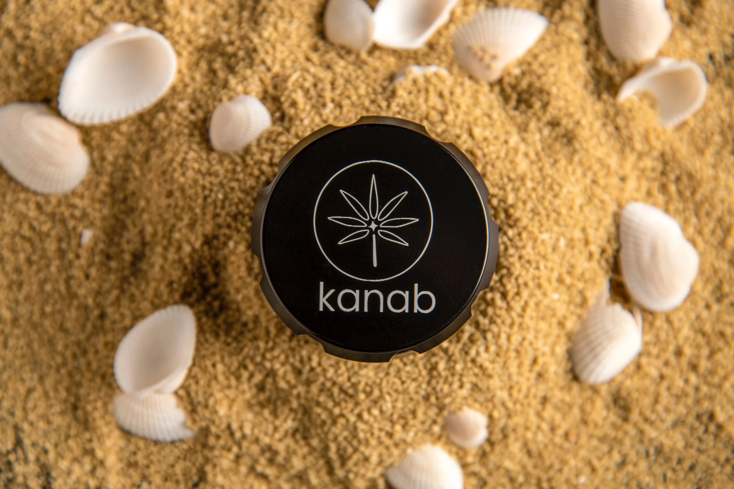 A black circular object with a white cannabis leaf and the word 'kanab' on it, placed on sandy ground surrounded by white seashells.
