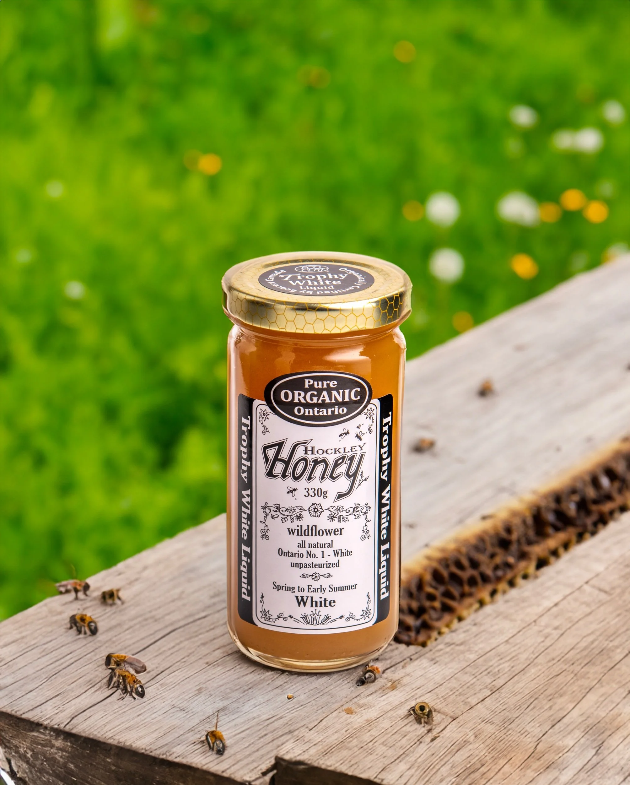 A jar of Hockley honey with a label indicating it is pure organic wildflower honey from Ontario, on a weathered wooden surface with bees, against a blurred green outdoors background.