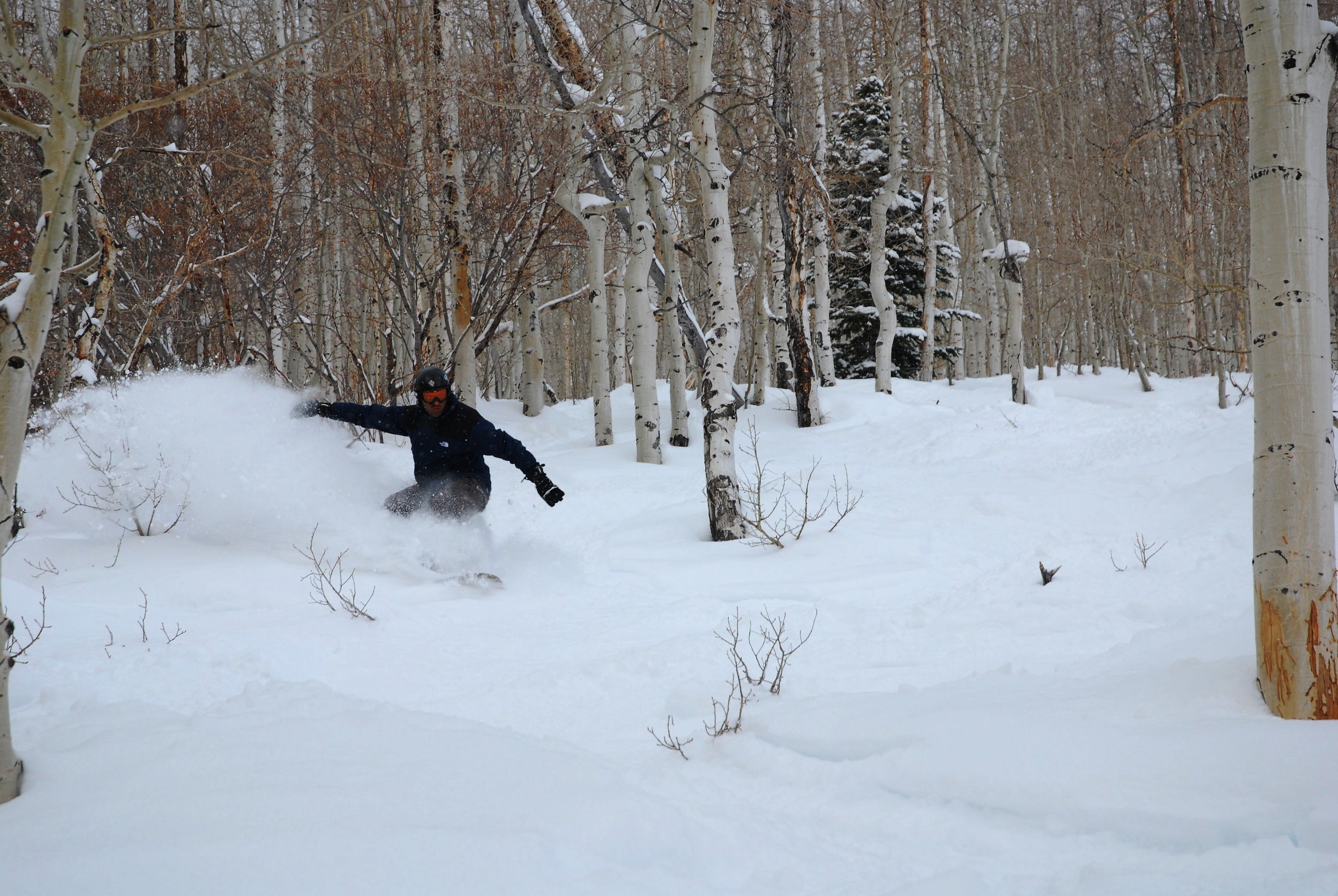 snowboardpic.jpg