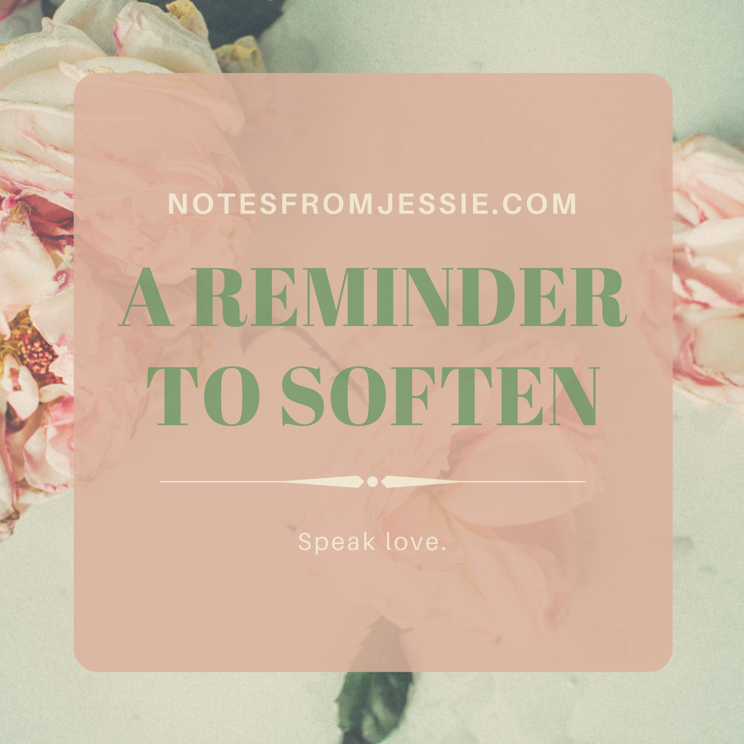 a reminder to soften.png