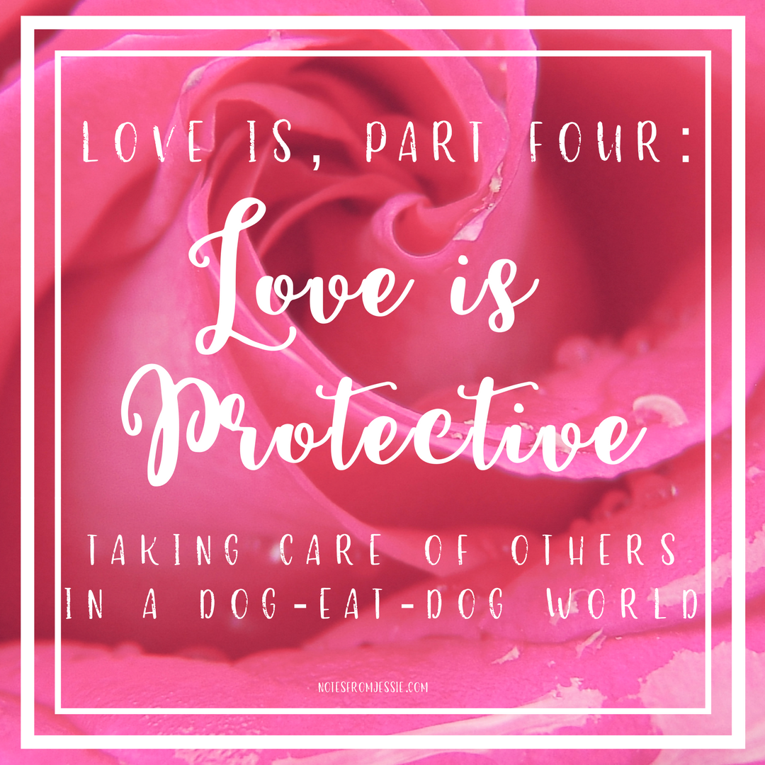 Love Is, Part 4_ Love is Protective.png