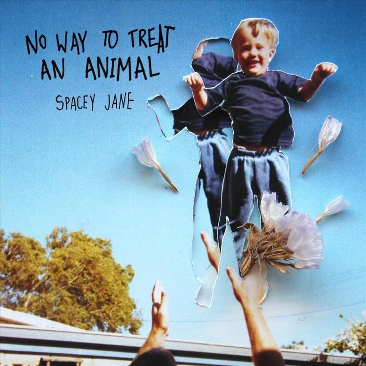 No Way To Treat An Animal - Spacey Jane