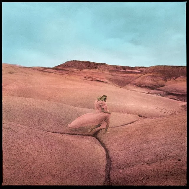 "Strays" by Margo Price