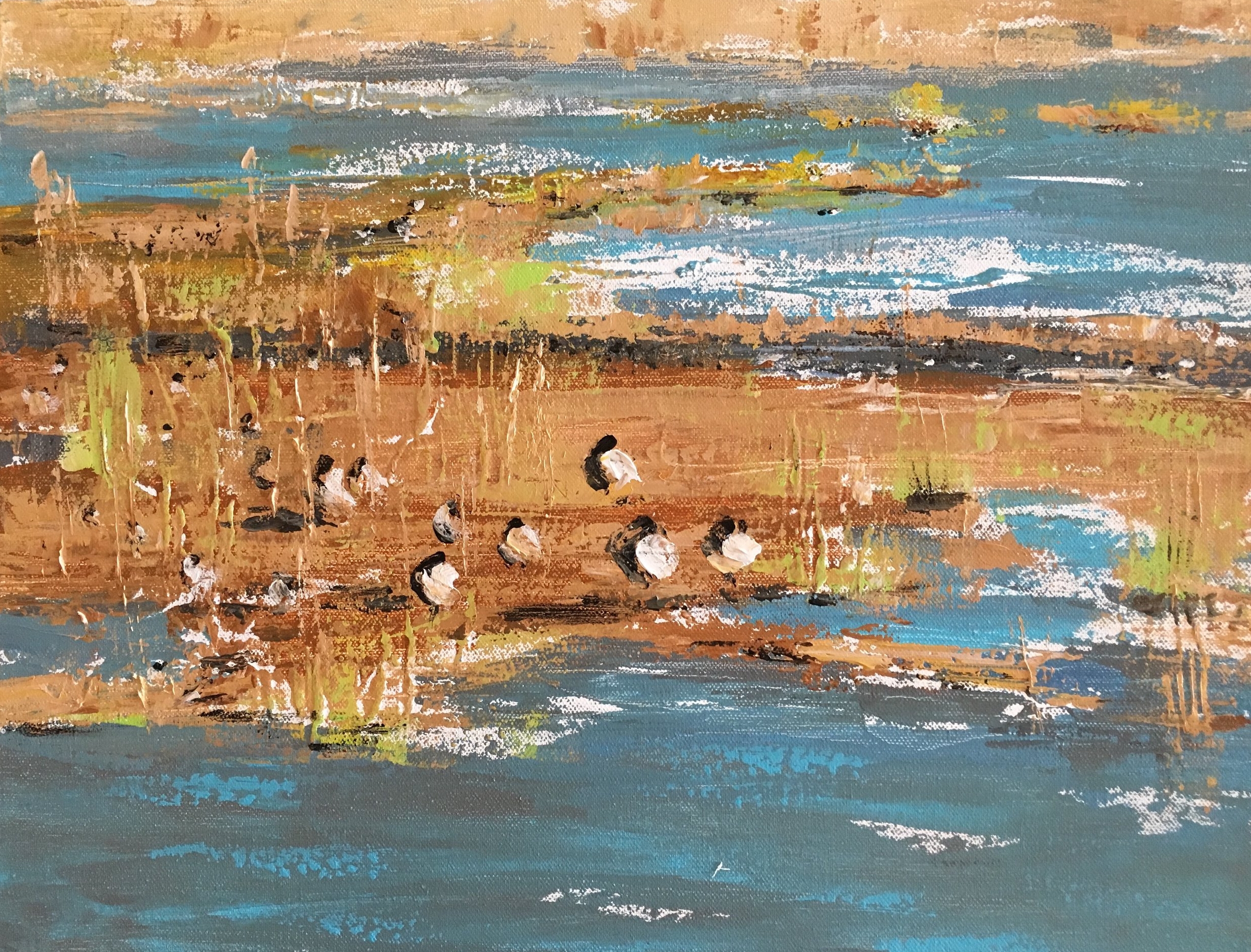 Sleeping Geese ©Susan Clare