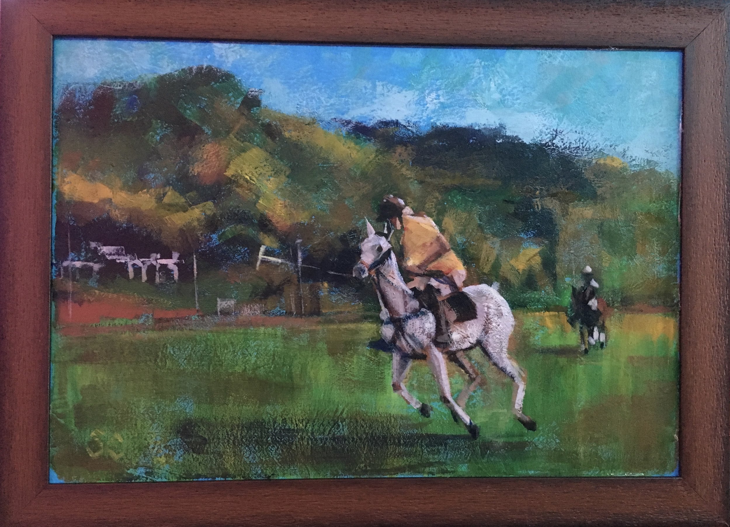 Freddie Farquharson in action at Chukka Blue Hole.