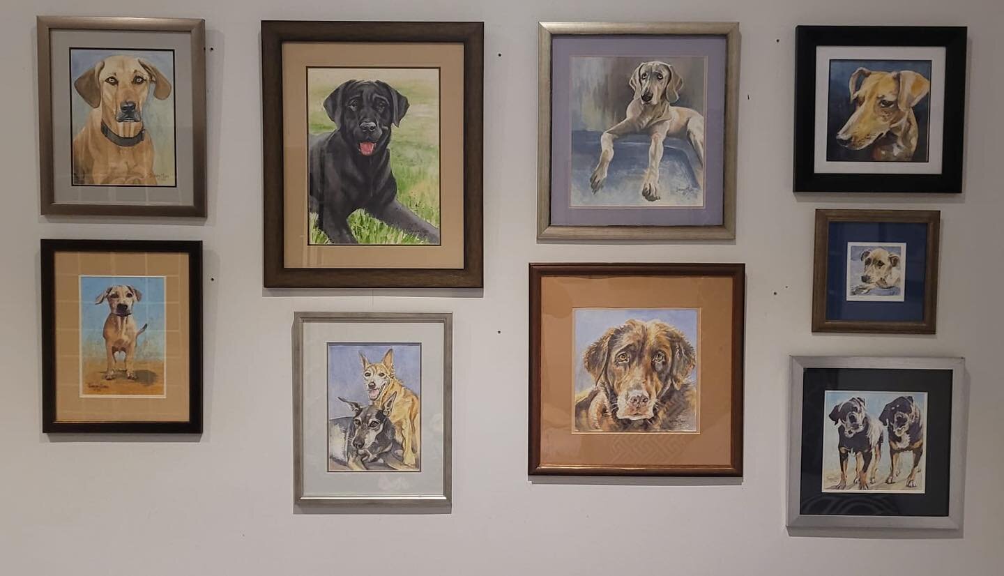 Next door&rsquo;s &lsquo;paw trait&rsquo; wall in its latest iteration - it&rsquo;s been growing over the years.
🐶
I hear some of the subjects were in hand to assist with the curation.
🐕🐕🐕
Thanks @chillywitch876 for continuing to grow your galler