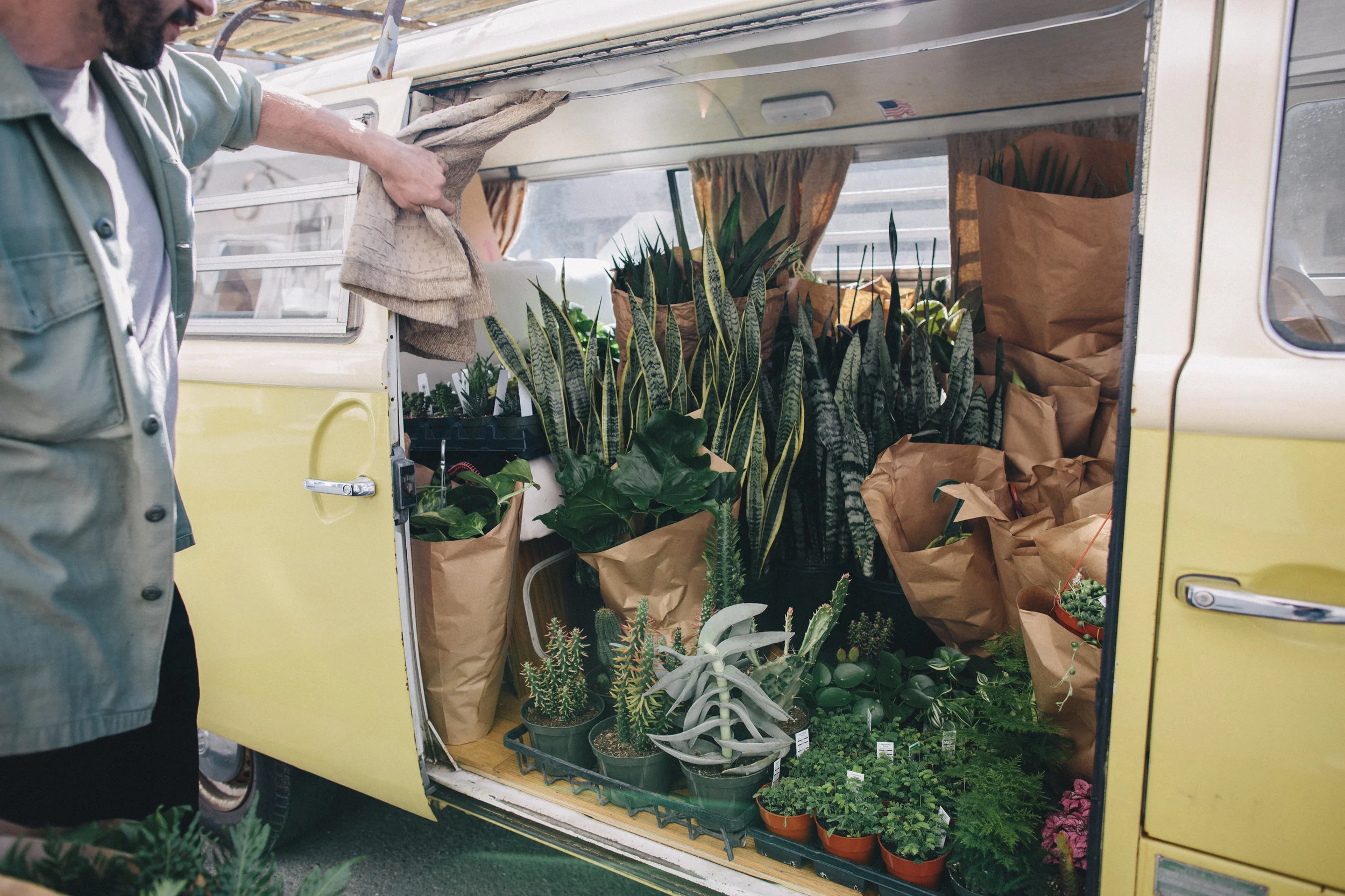 PlantsandFriends2018-54.jpg