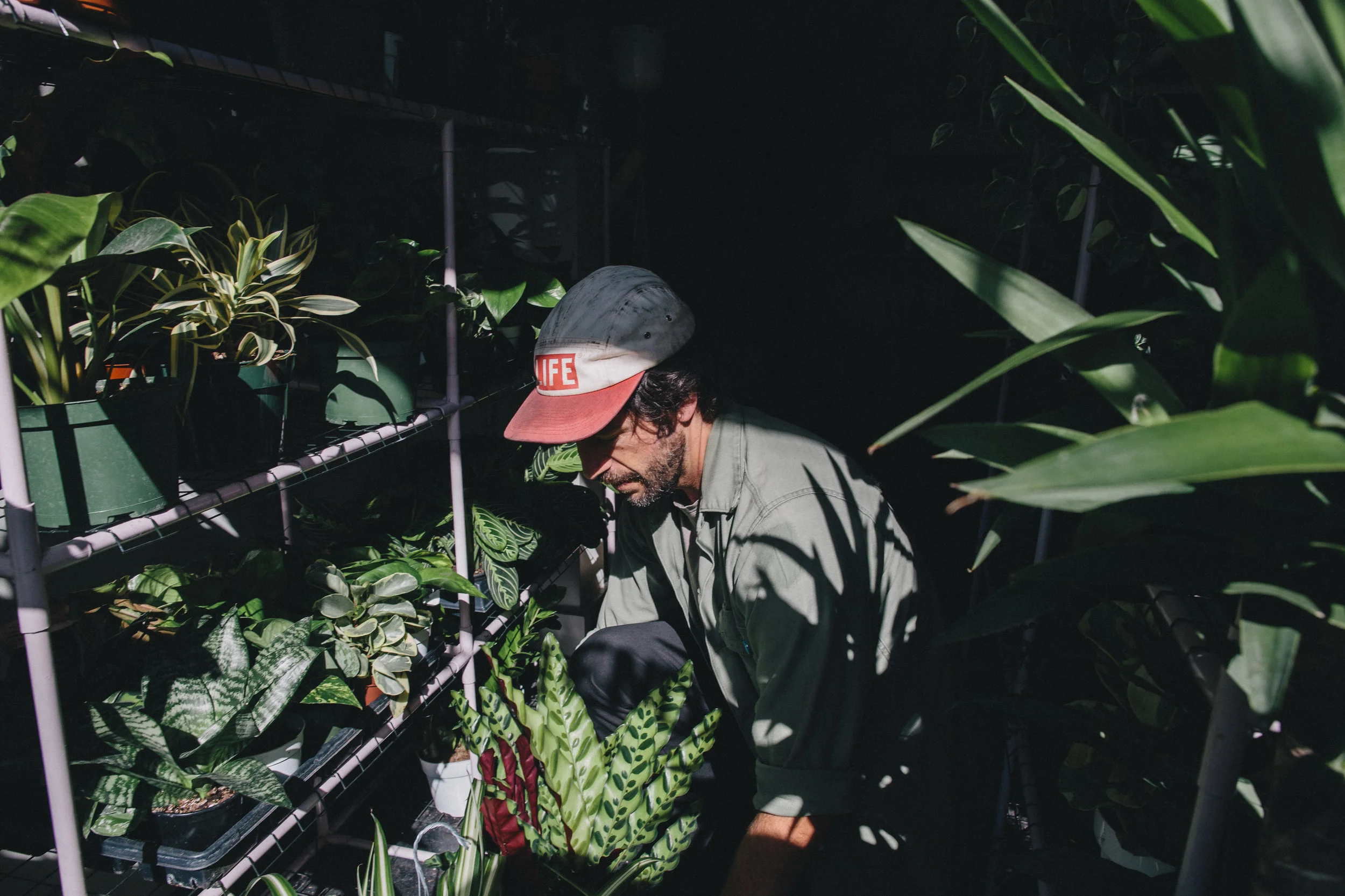 PlantsandFriends2018-70.jpg