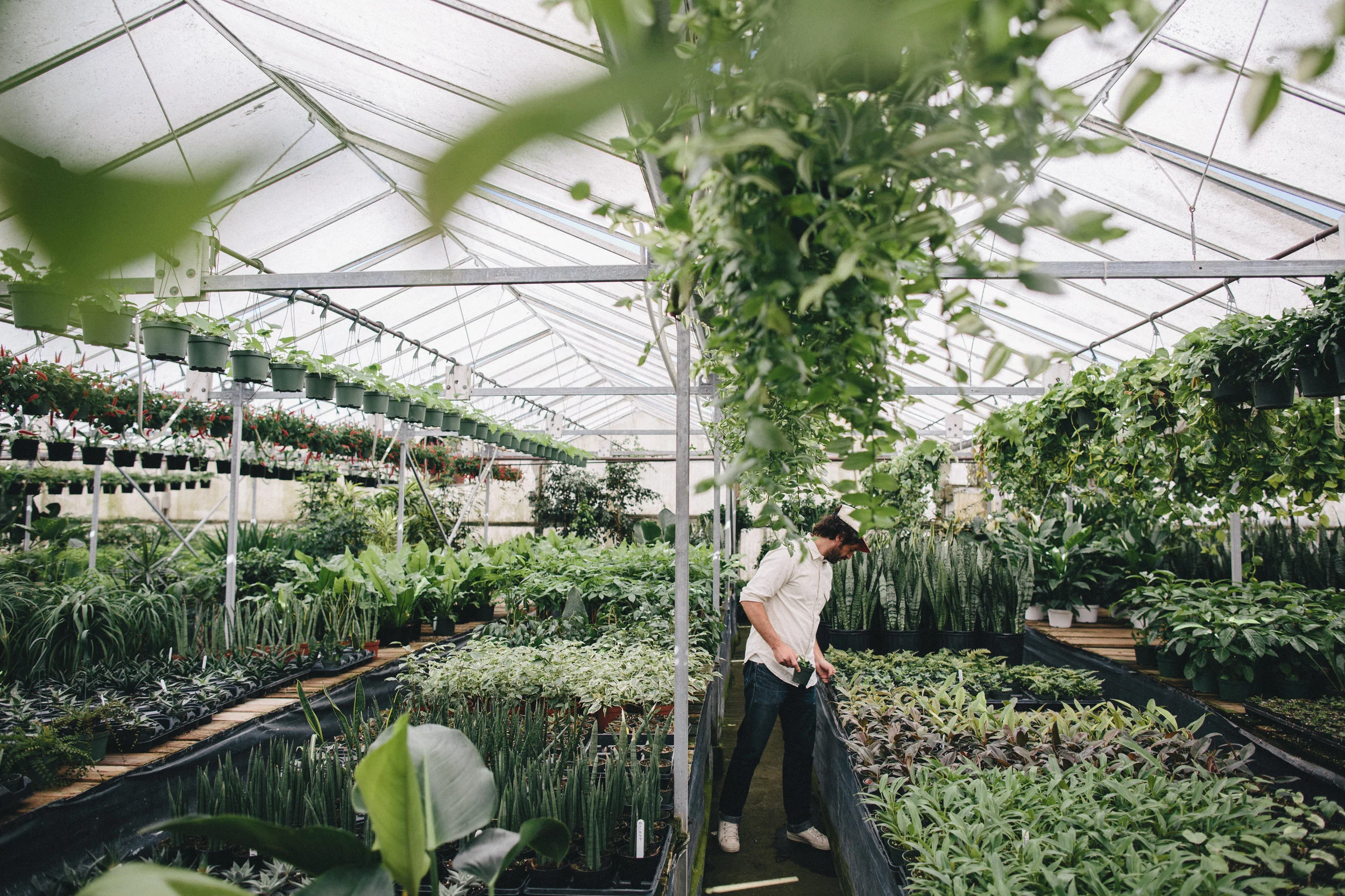 PlantsandFriends2018-20.jpg