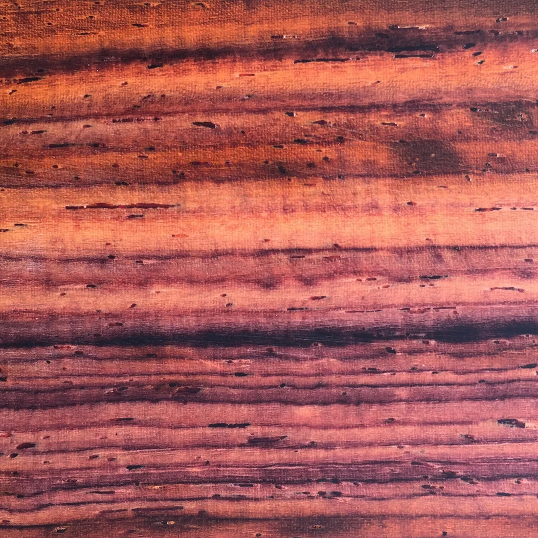 COCOBOLO — Shiruba Tree Wooden Rings Uk