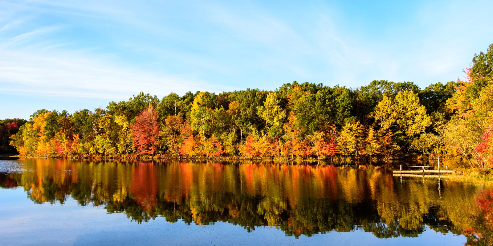 Fall Foliage Prediction Maps