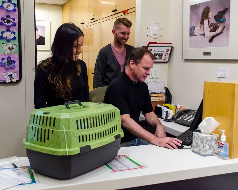 Using GIS Technology in Animal Shelters