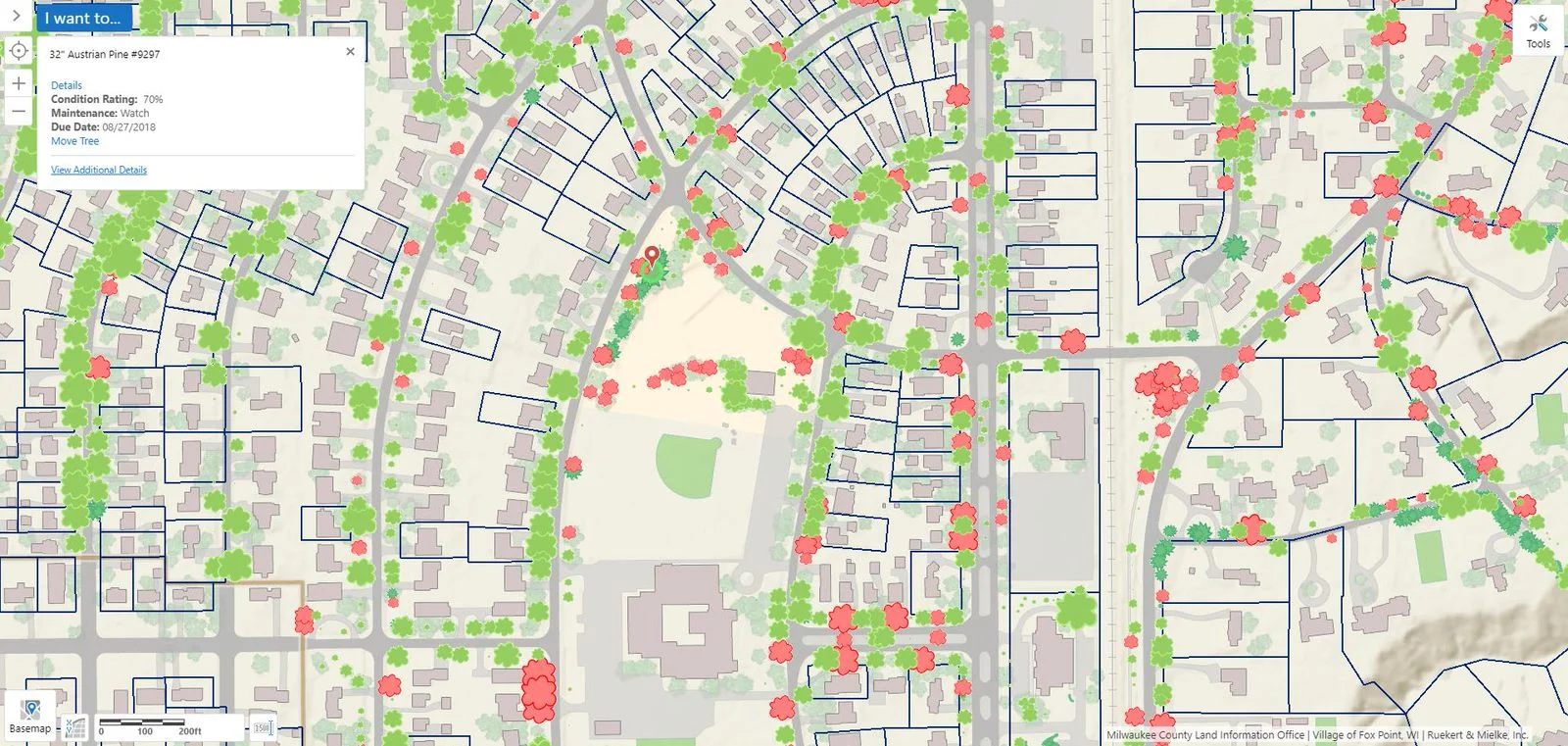 Keeping Up with Forestry: The Tree Management Tool