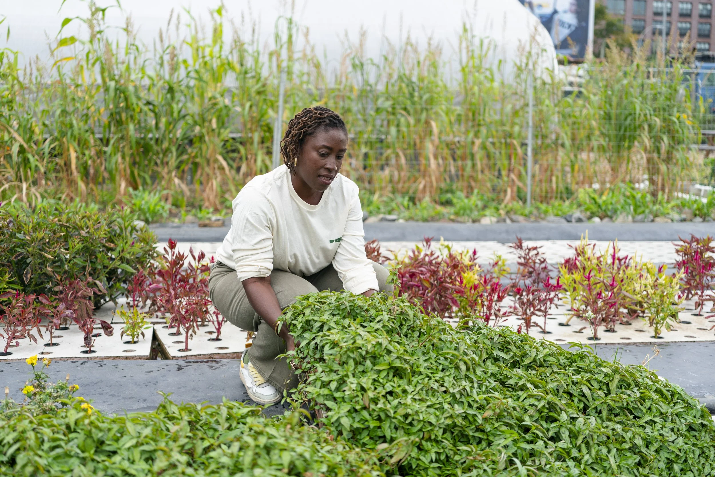 NYT_INFLUENCERDINNER_ClimateForward24_Jutharat Pinyodoonyachet-09970.JPG