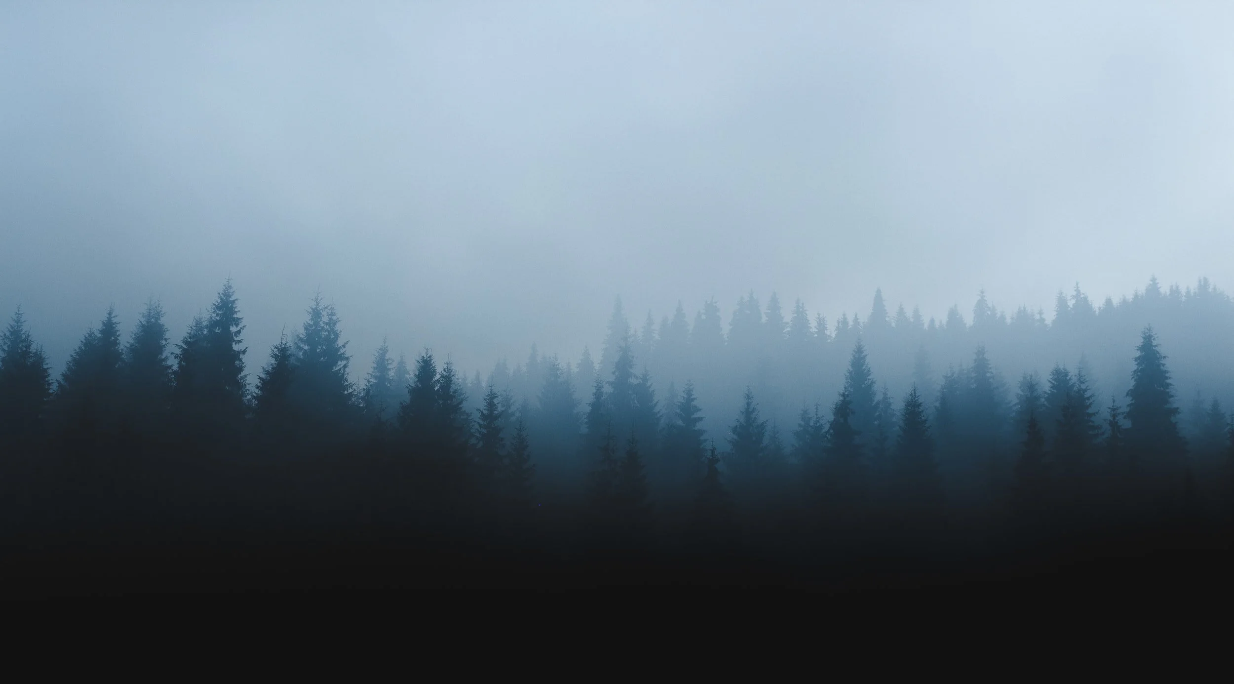 unsplash-image-3_5zd-OWe5Q.jpg