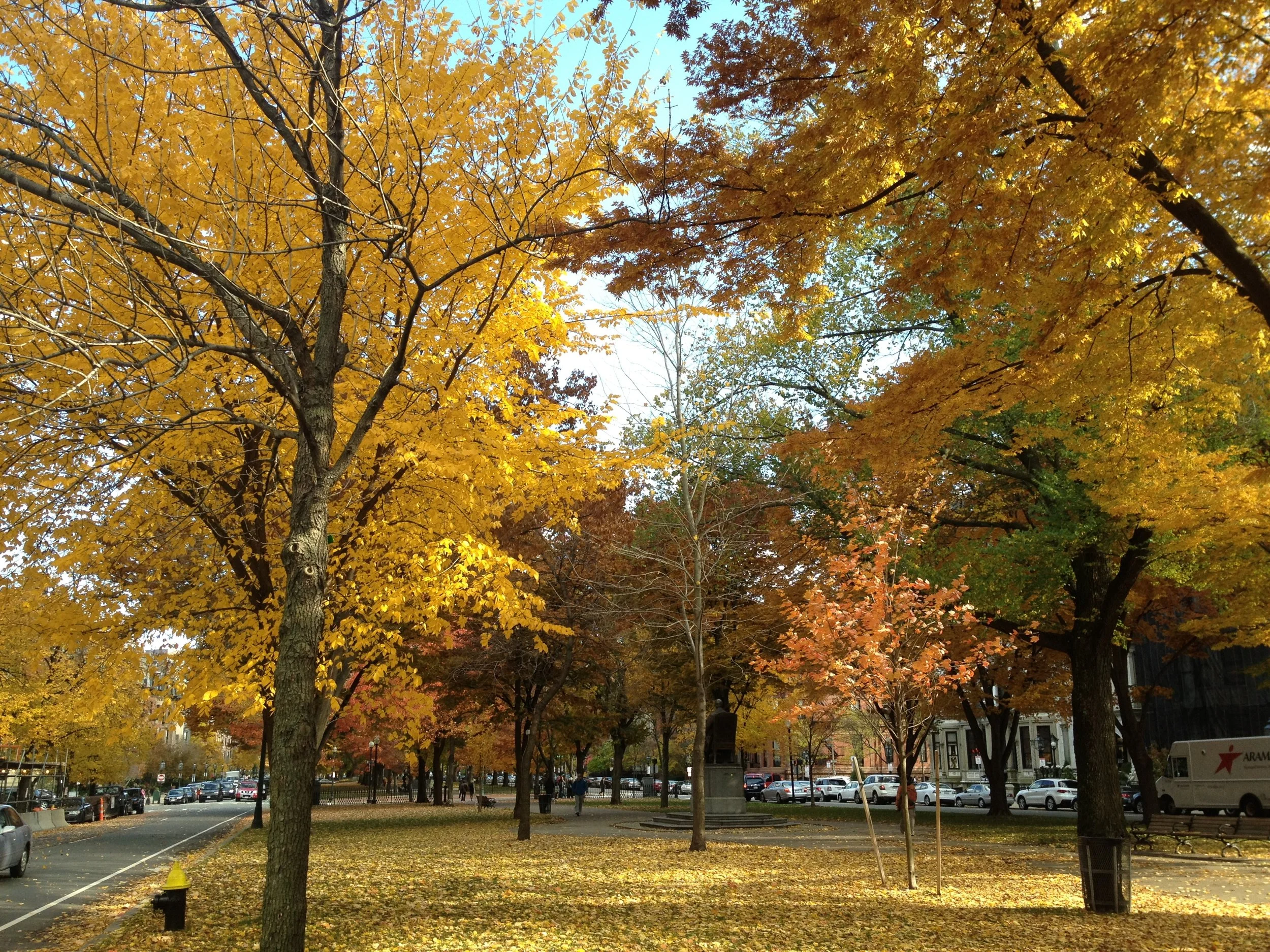 Market Outlook Q3 2016