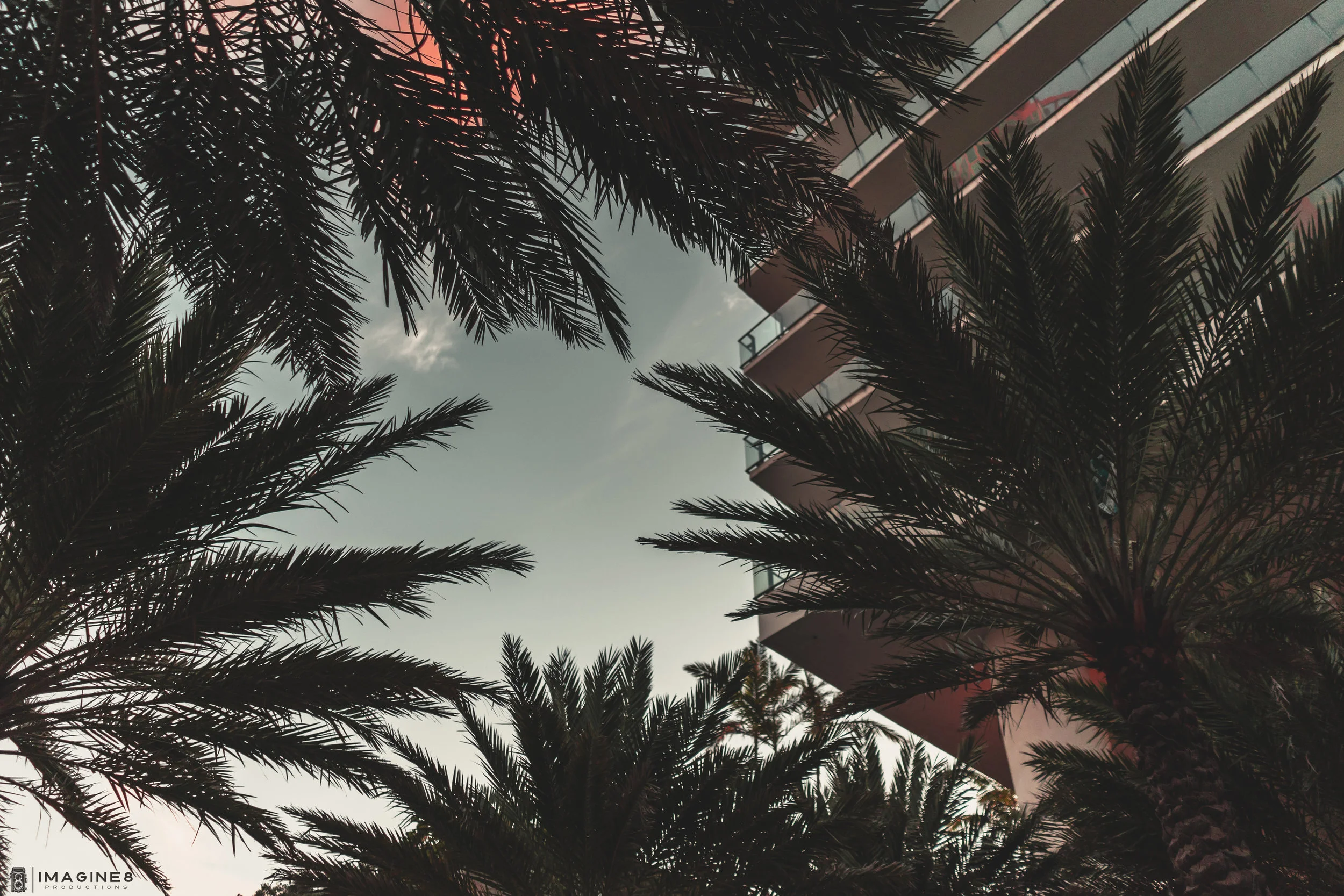 Paradise.jpg