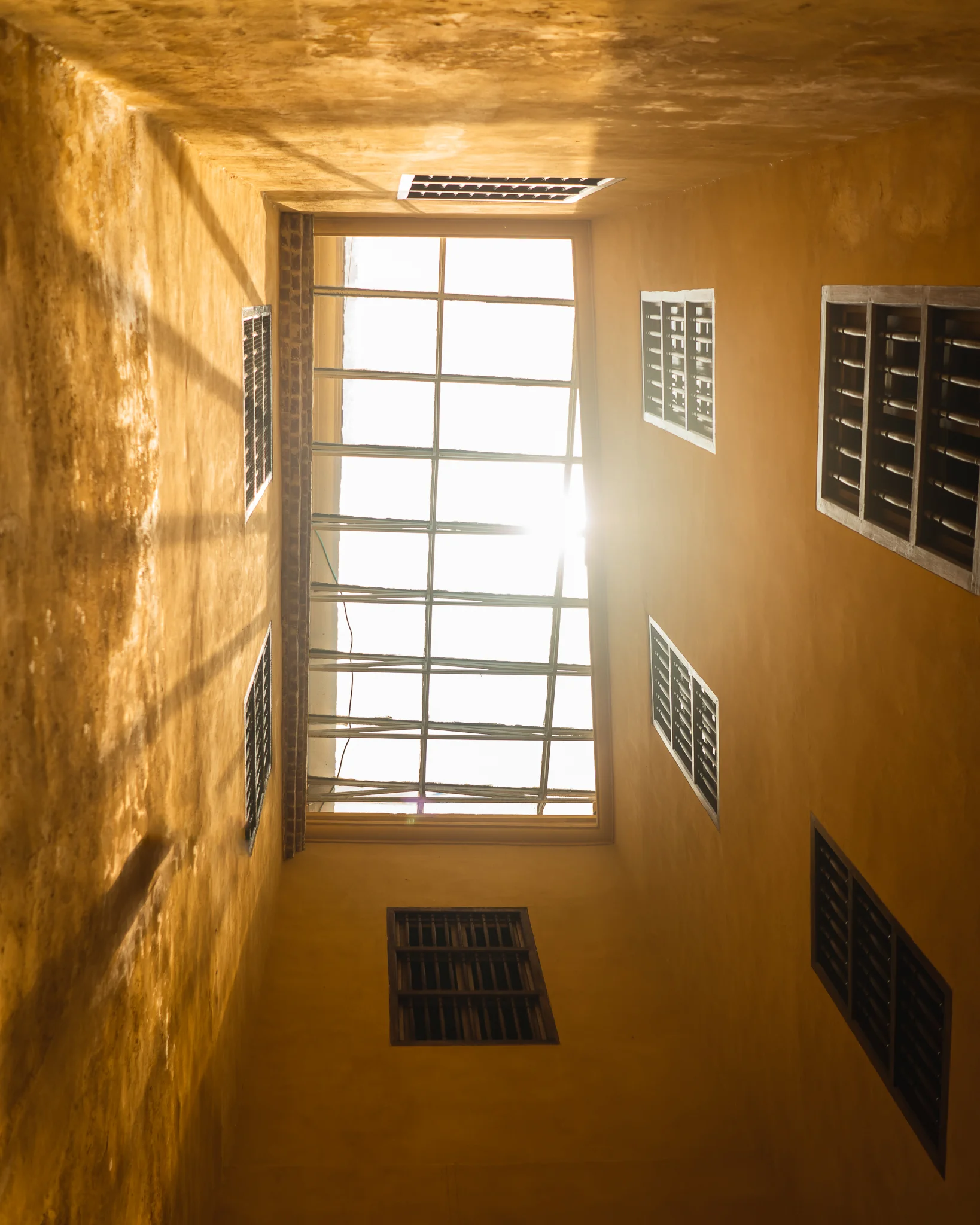 Orange cage.jpg
