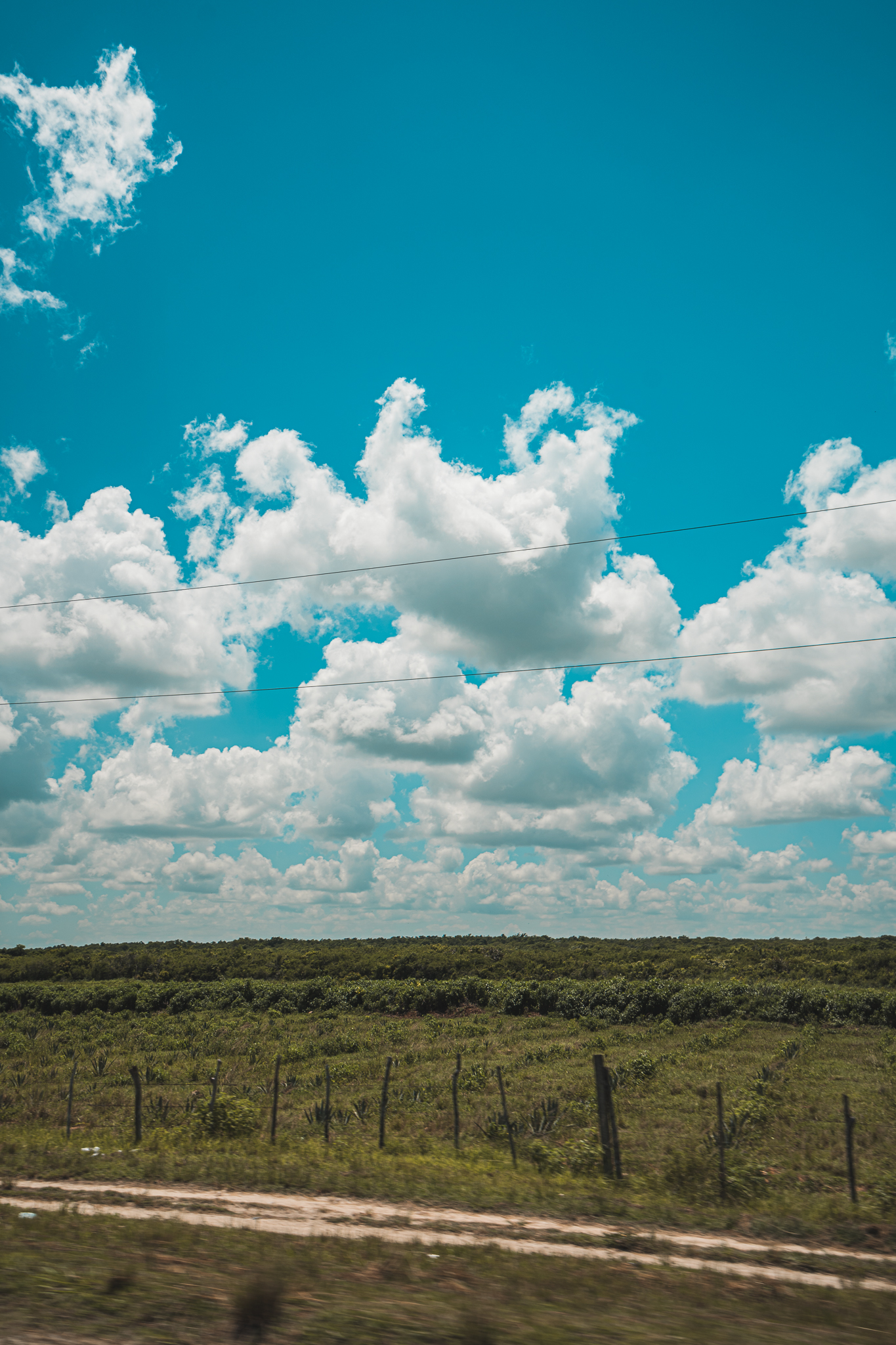 untitled-18.jpg