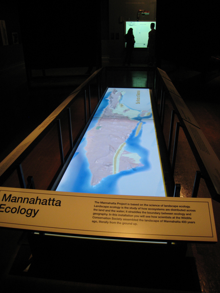 MANNAHATTA/MANHATTAN: A NATURAL HISTORY OF NEW YORK CITY