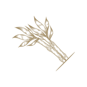 download-2 copy.png