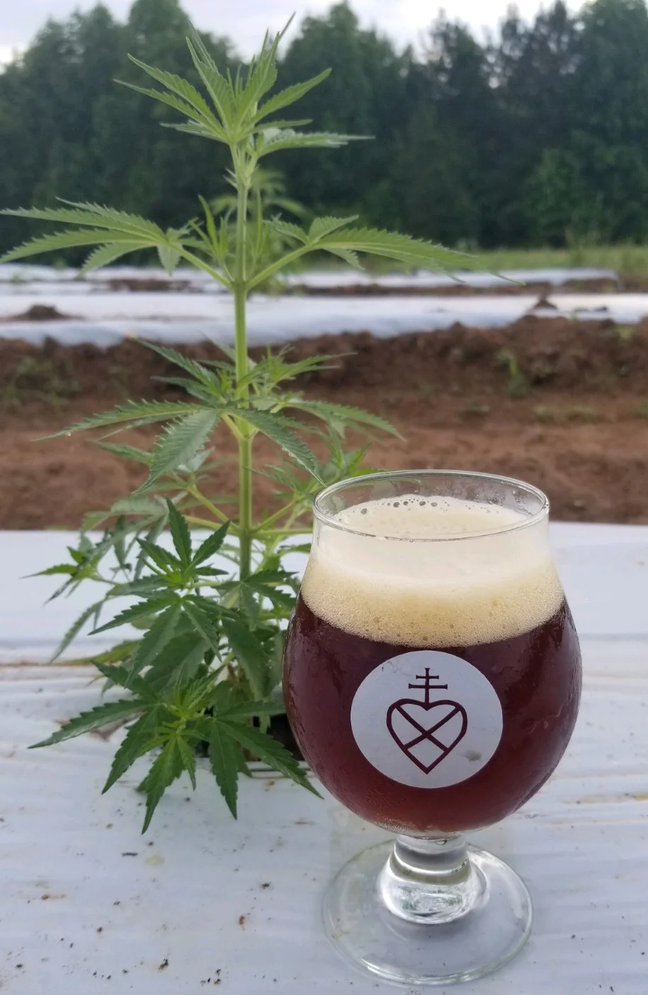 hempandsec.jpg
