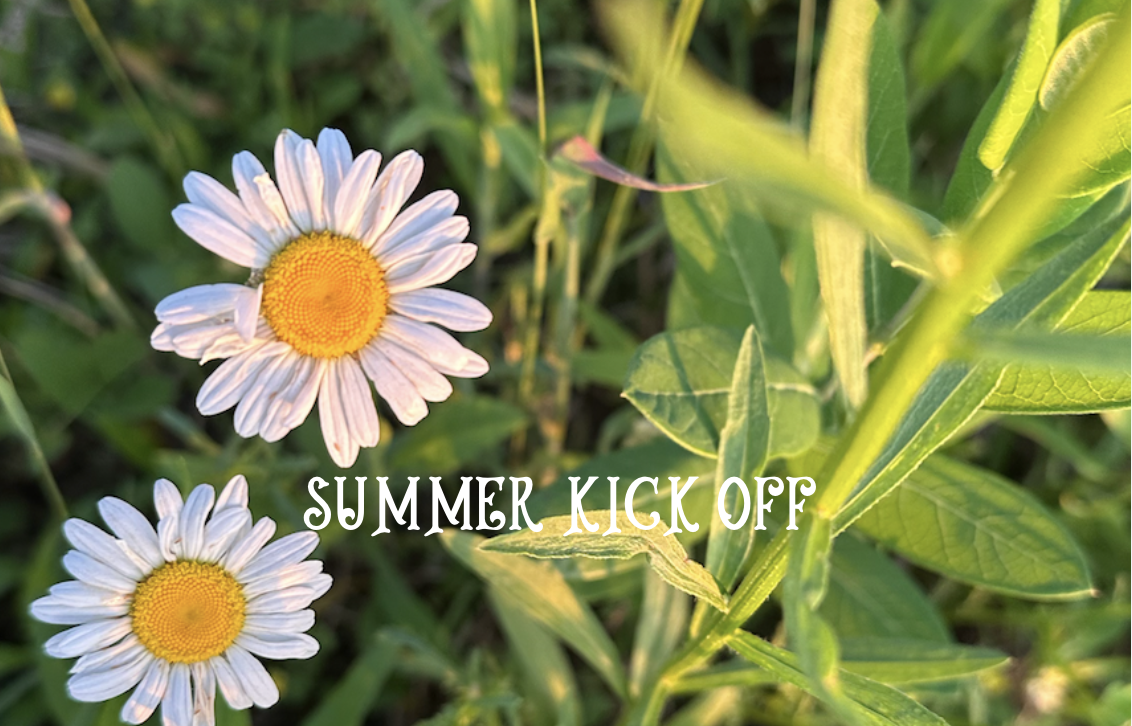 Summer Kick-Off: Summer Solstice Seltzer Release