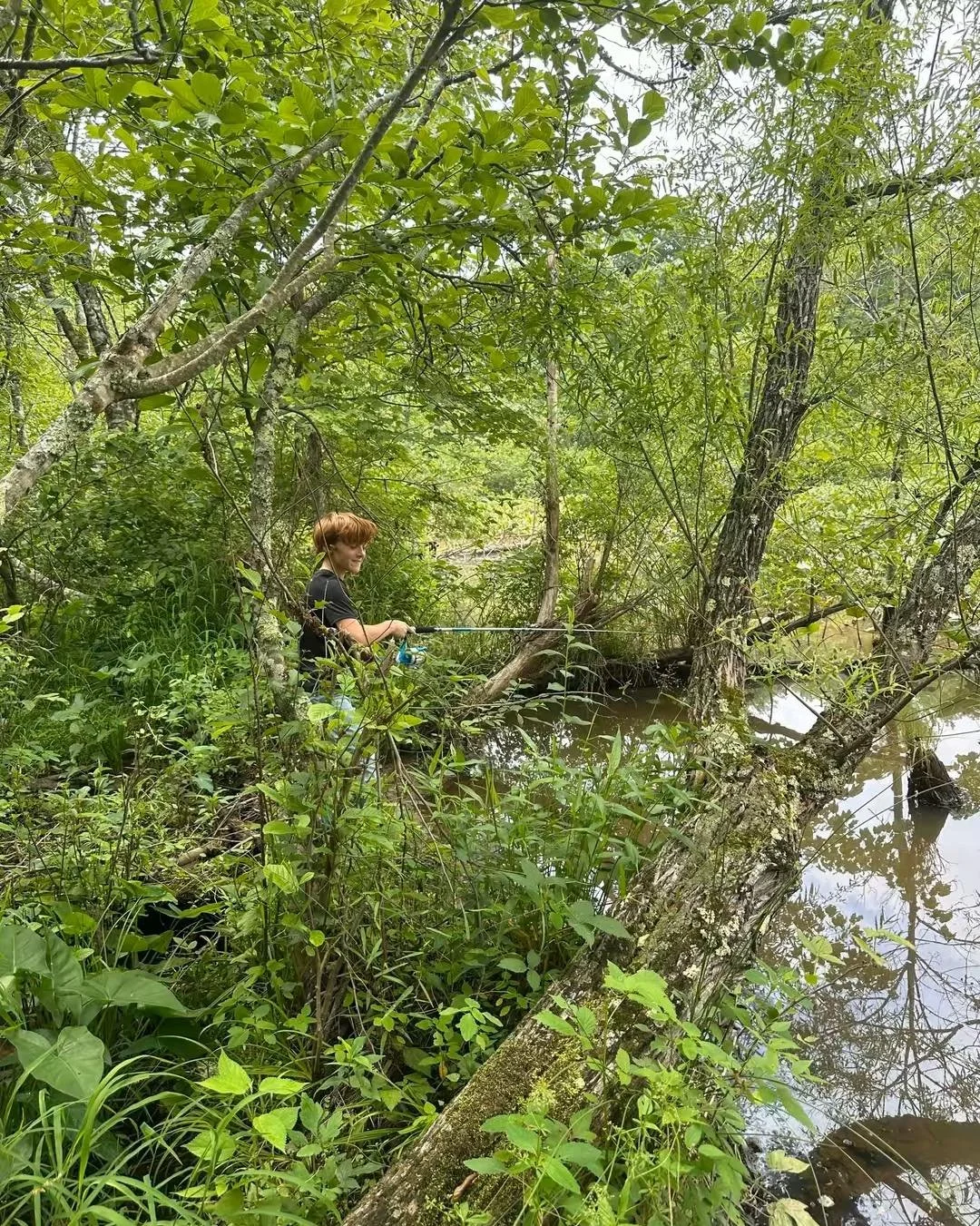 Fishing on the beaver dam made pond on Little Lickinghole Creek. #creek #creeklife #creekfishing