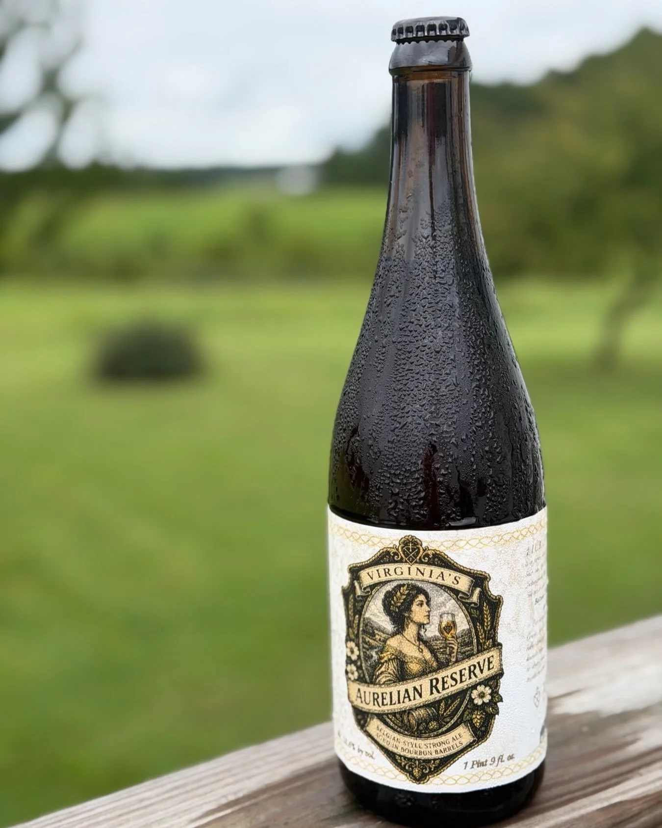 Our 13.6% ABV Aurelian Reserve Bourbon Barrel-Aged Belgian-style Golden Strong Ale is packaged in Buffalo Trace bourbon barrels. #lickingholecreek #barrelage #rarebeer #belgianstyle #bourbon