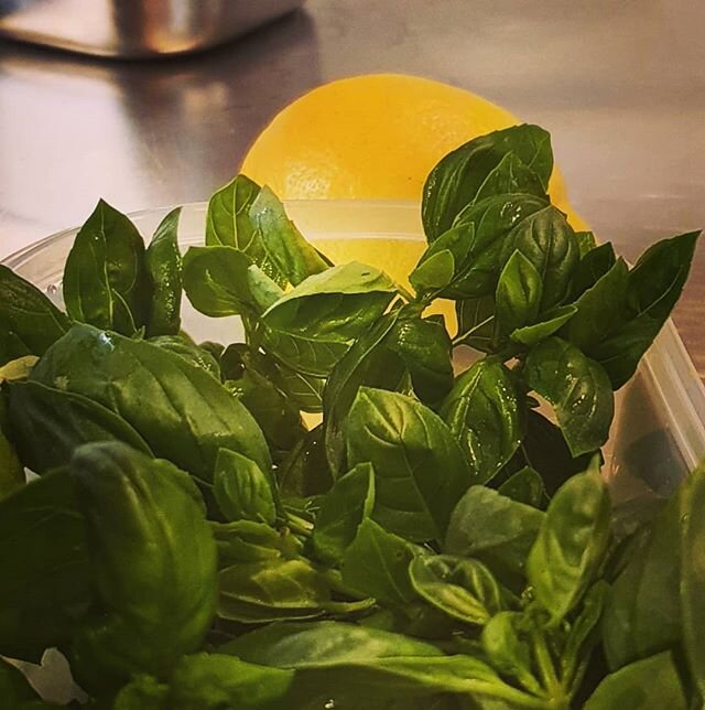 Our first crop of #homegrown basil! Shout out to @rivahjordan
for the gardening help! 
#growyourownfood #sustainablebusiness #zeroairmiles #foodrevolution #dontbuyitgrowit