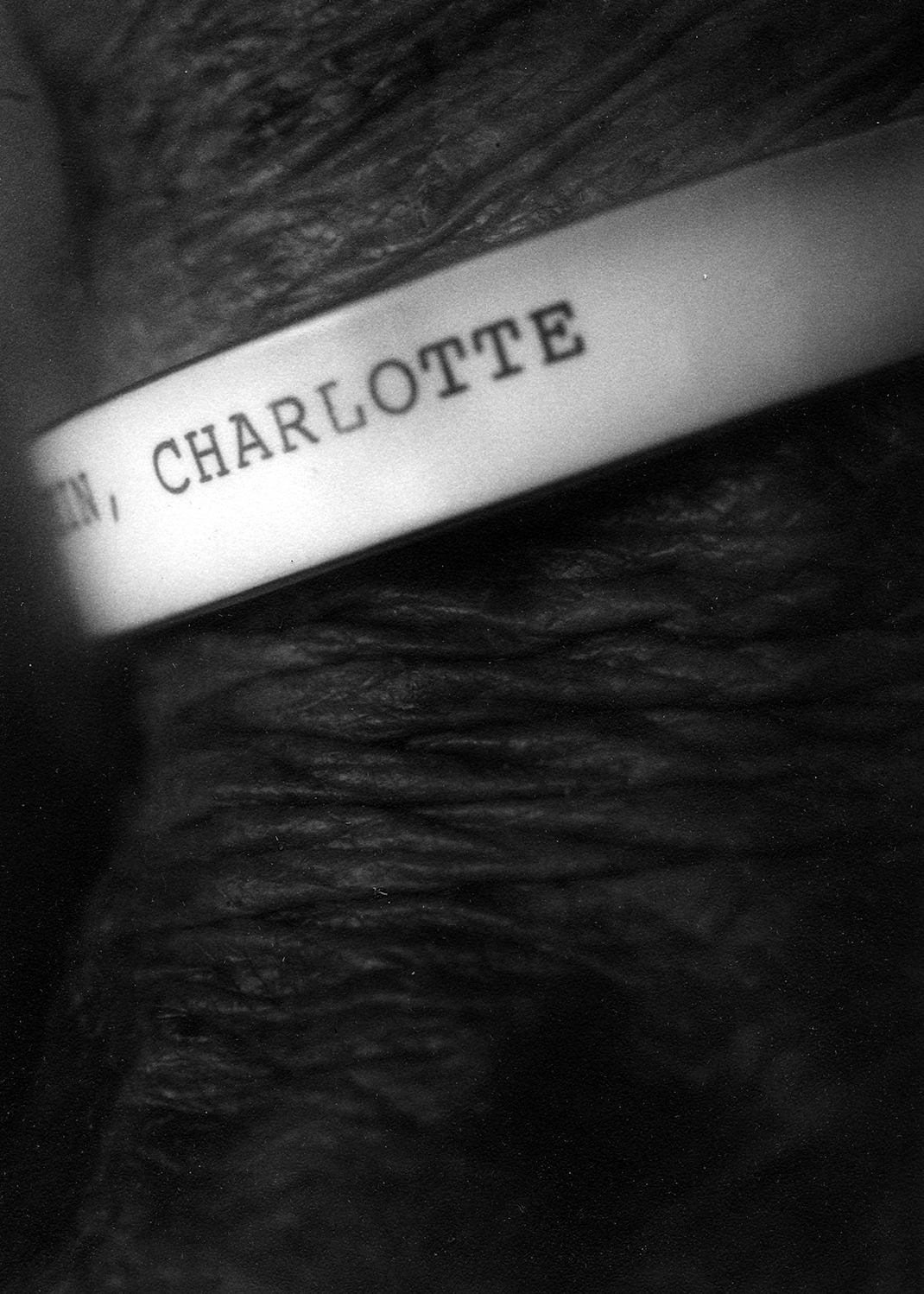 charlotte_12a.jpg