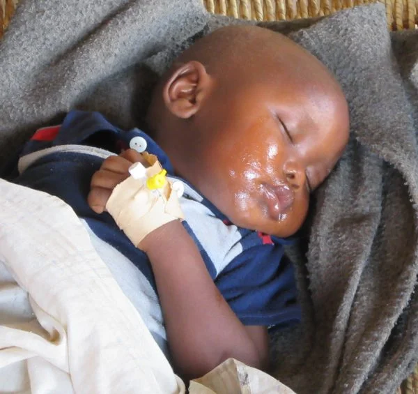 Malaria-is-one-1-600x565.jpg