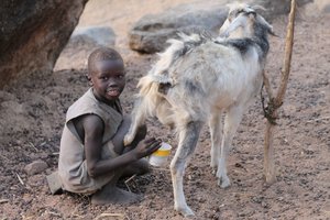 Milking goats-1.jpg
