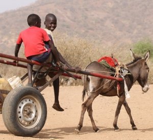 Transporting water (1)-2.jpg