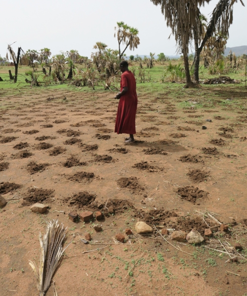 A woman plants sorghum and prays for rain.