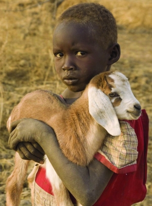 BoyHoldingGoat.jpg