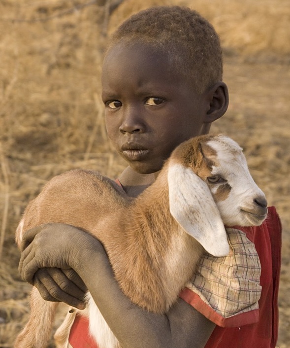 Boy loving goat.jpg