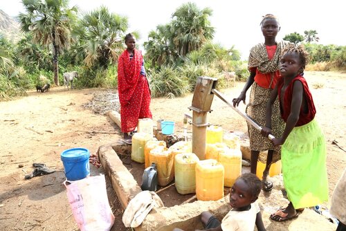 Borehole repairs
