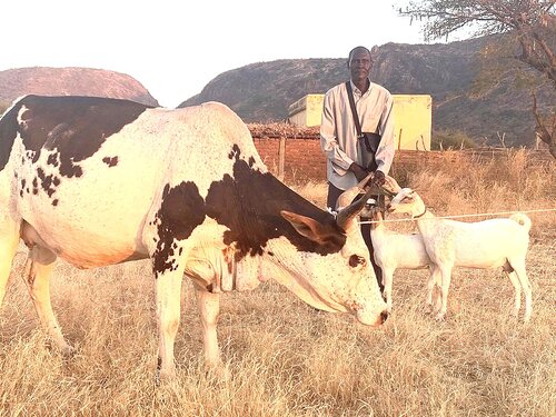 Dairy businesses are provided to pastors and evangelists.