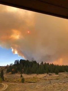 Photo courtesy of Barbara Burris