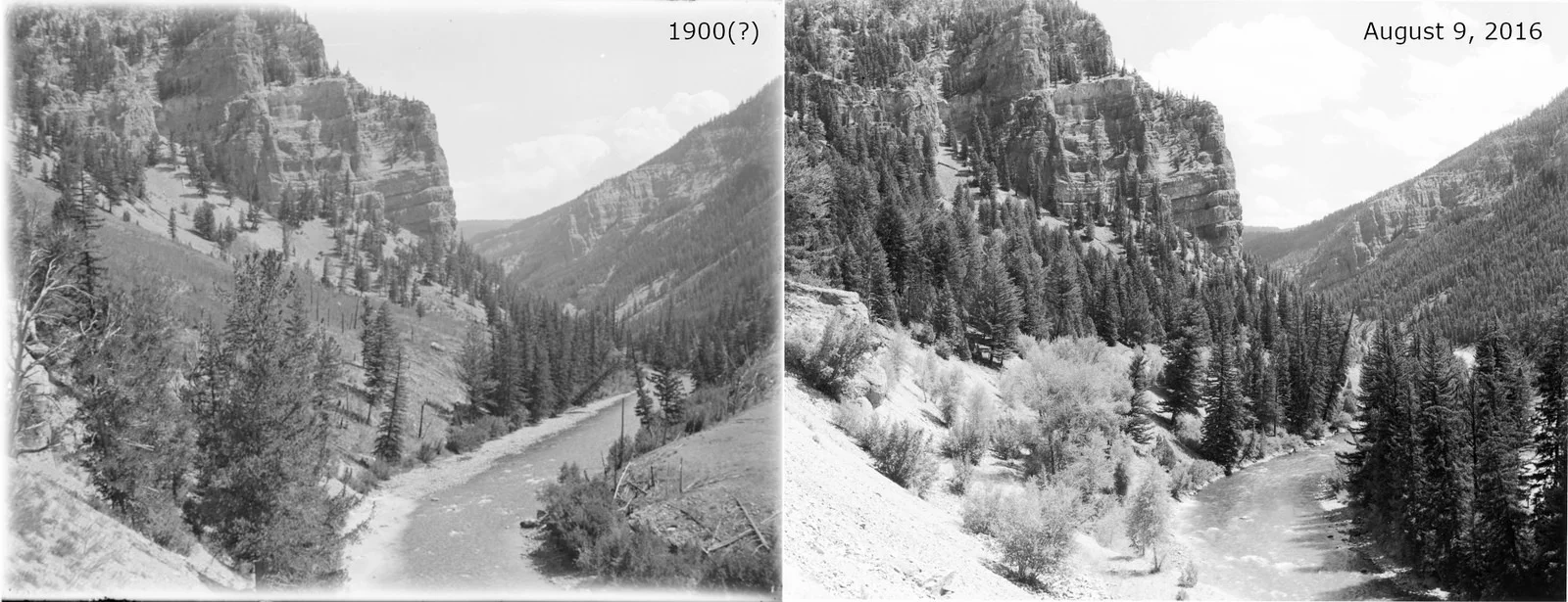 Hoback River near Stinking Springs