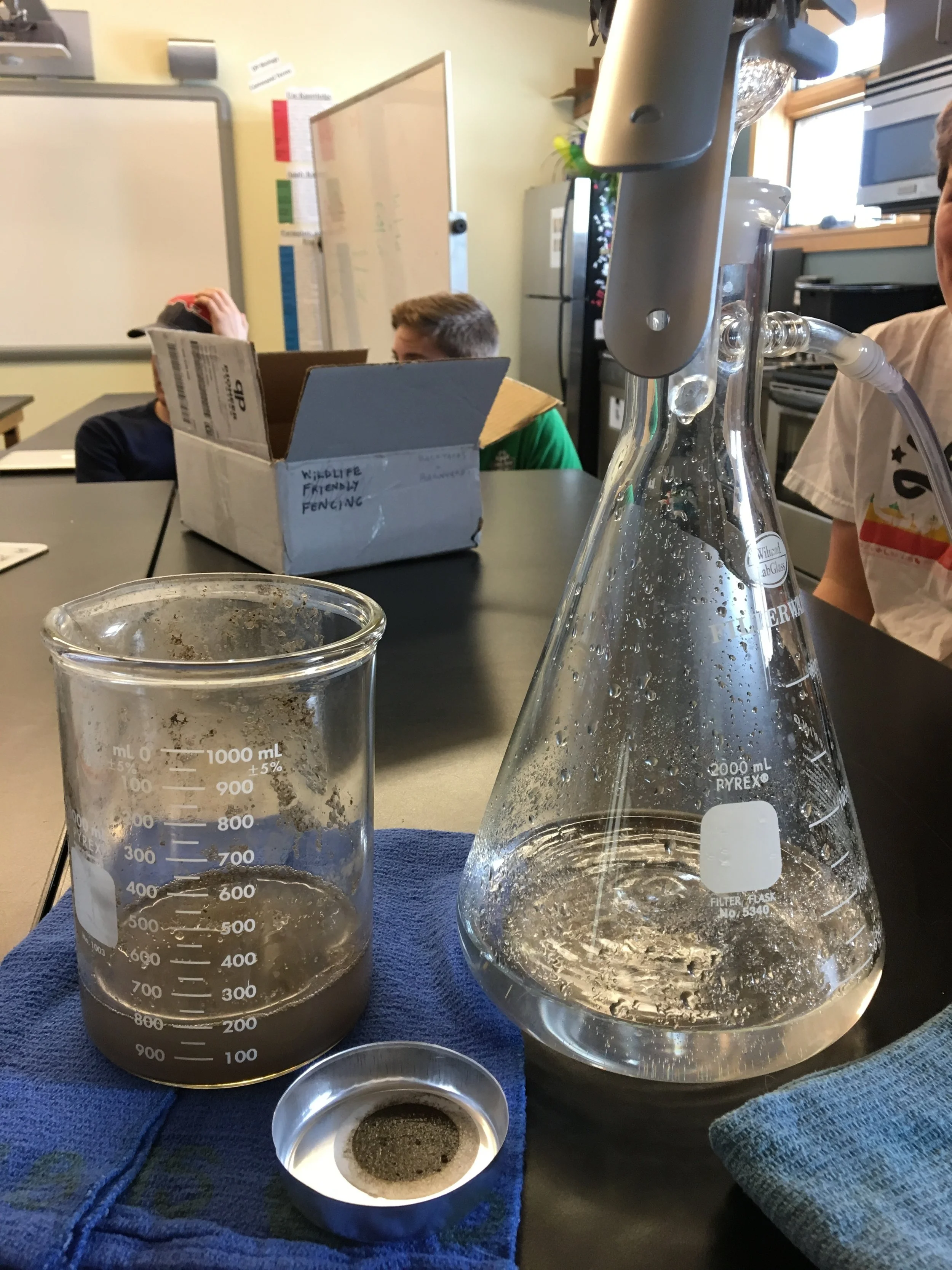 Students Study Stormwater&nbsp; 