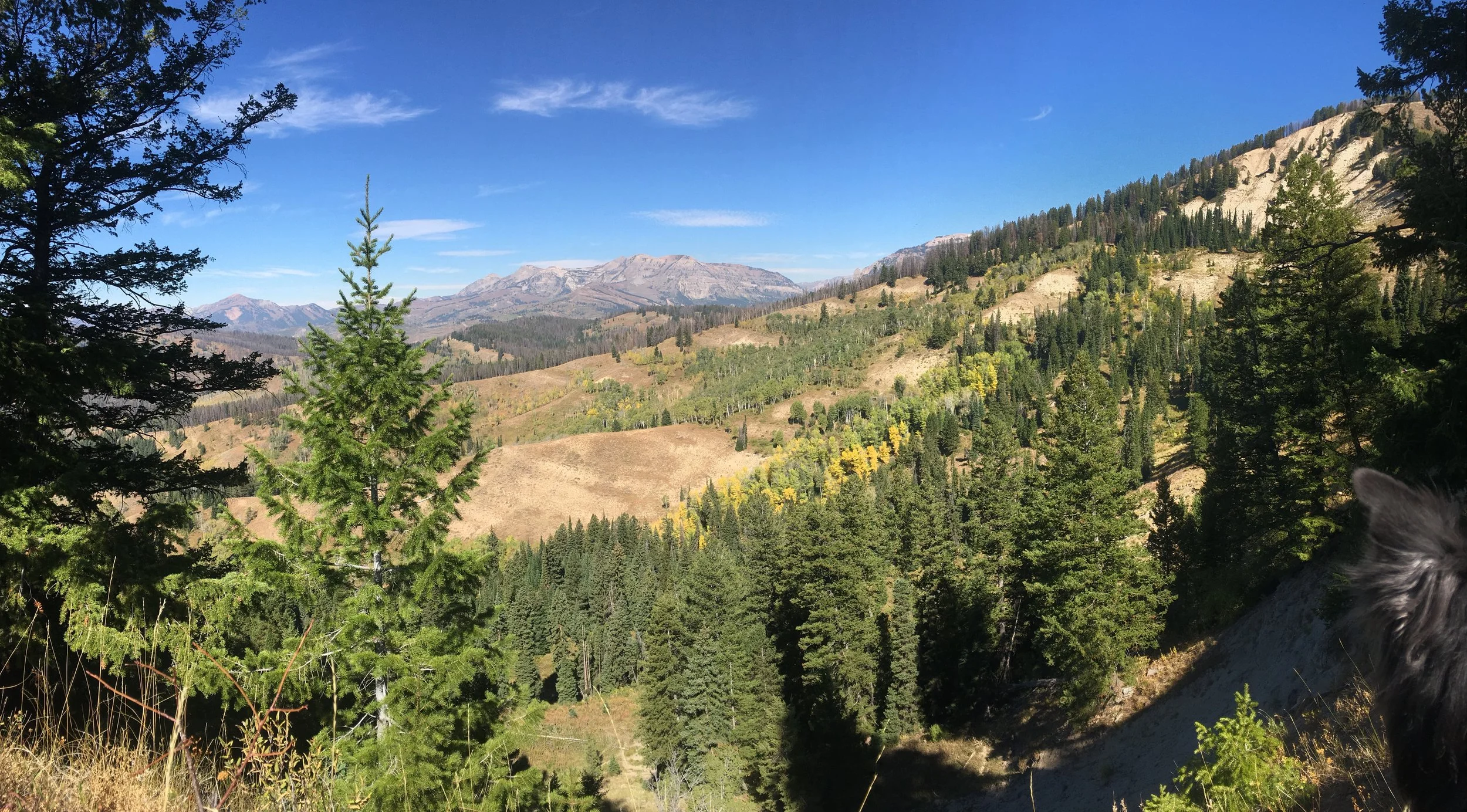 Hoback drinking water research underway