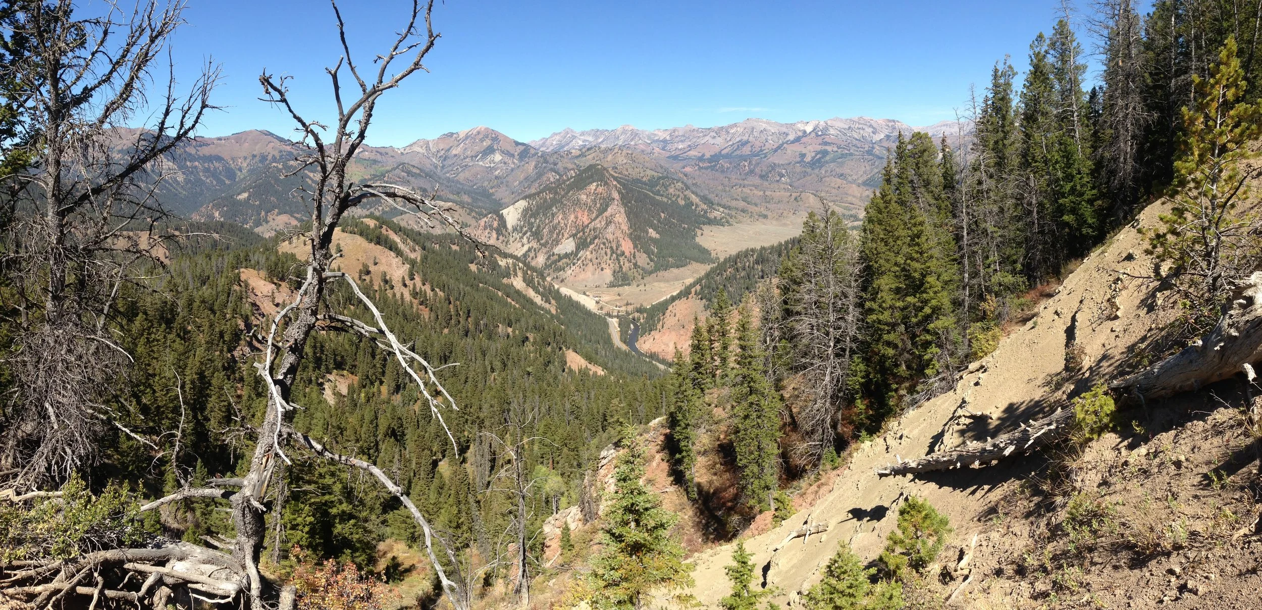 Hoback Junction Looks For Volunteer Assistance