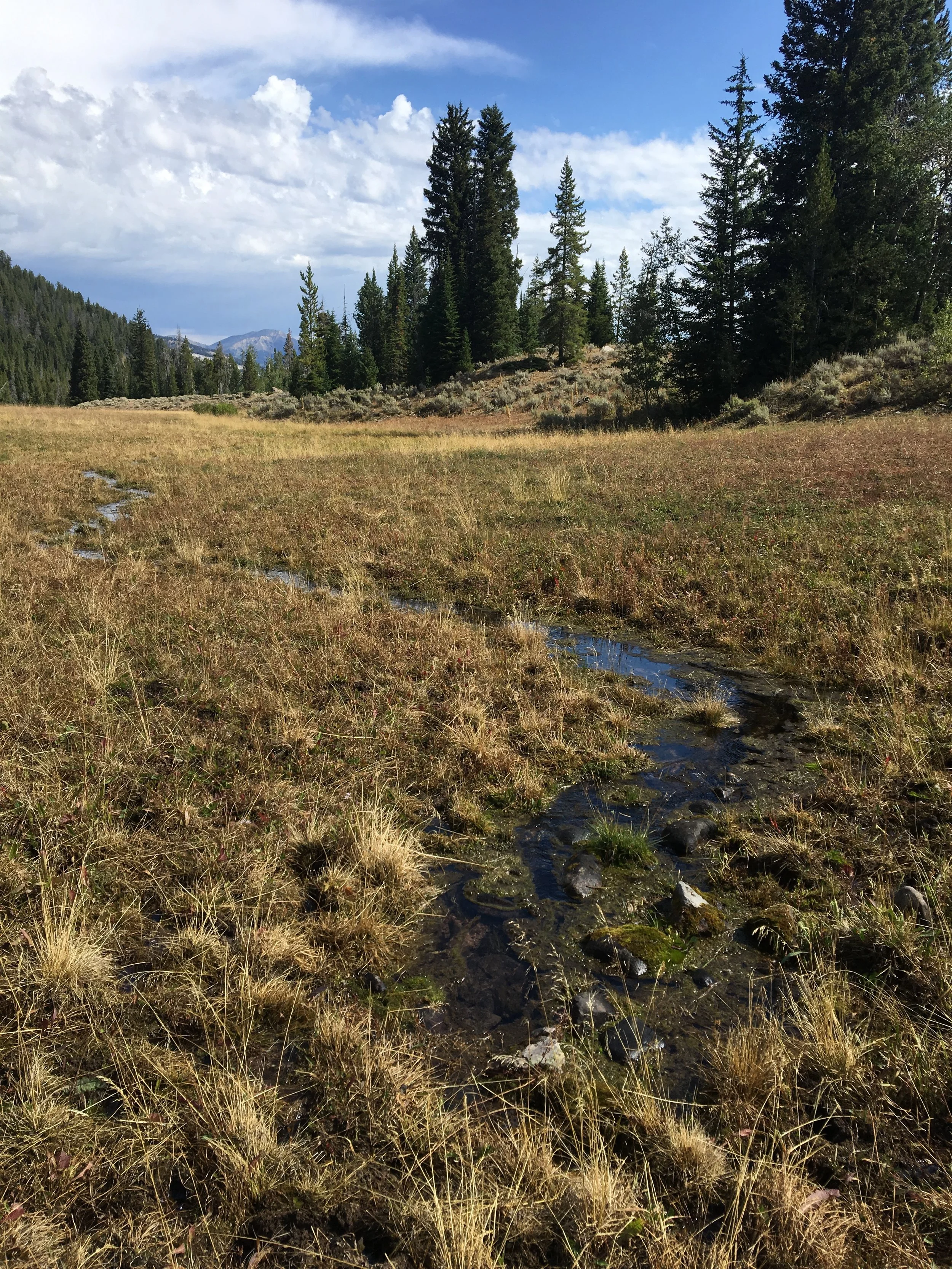 Reporting from the Range 