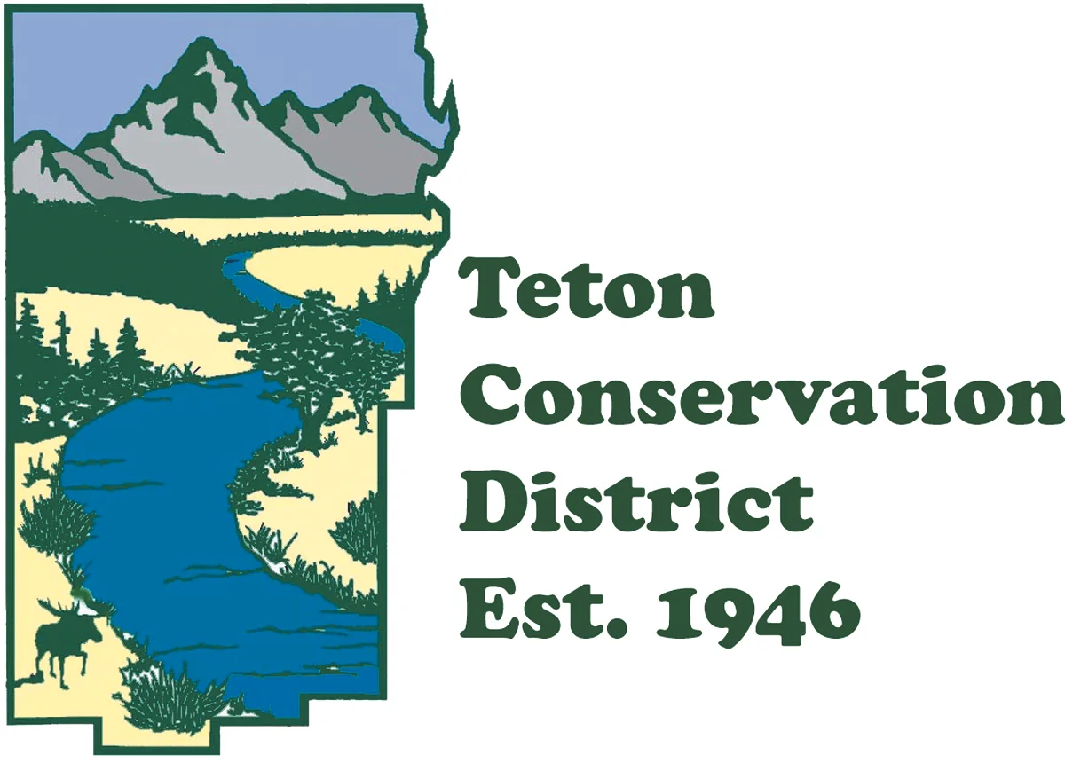 TCD announces new board member and associate director