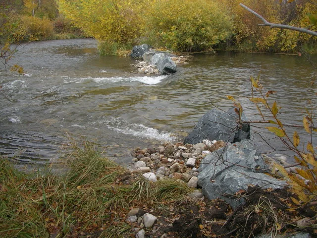 Teton Conservation District and TOJ tackle Flat Creek restoration