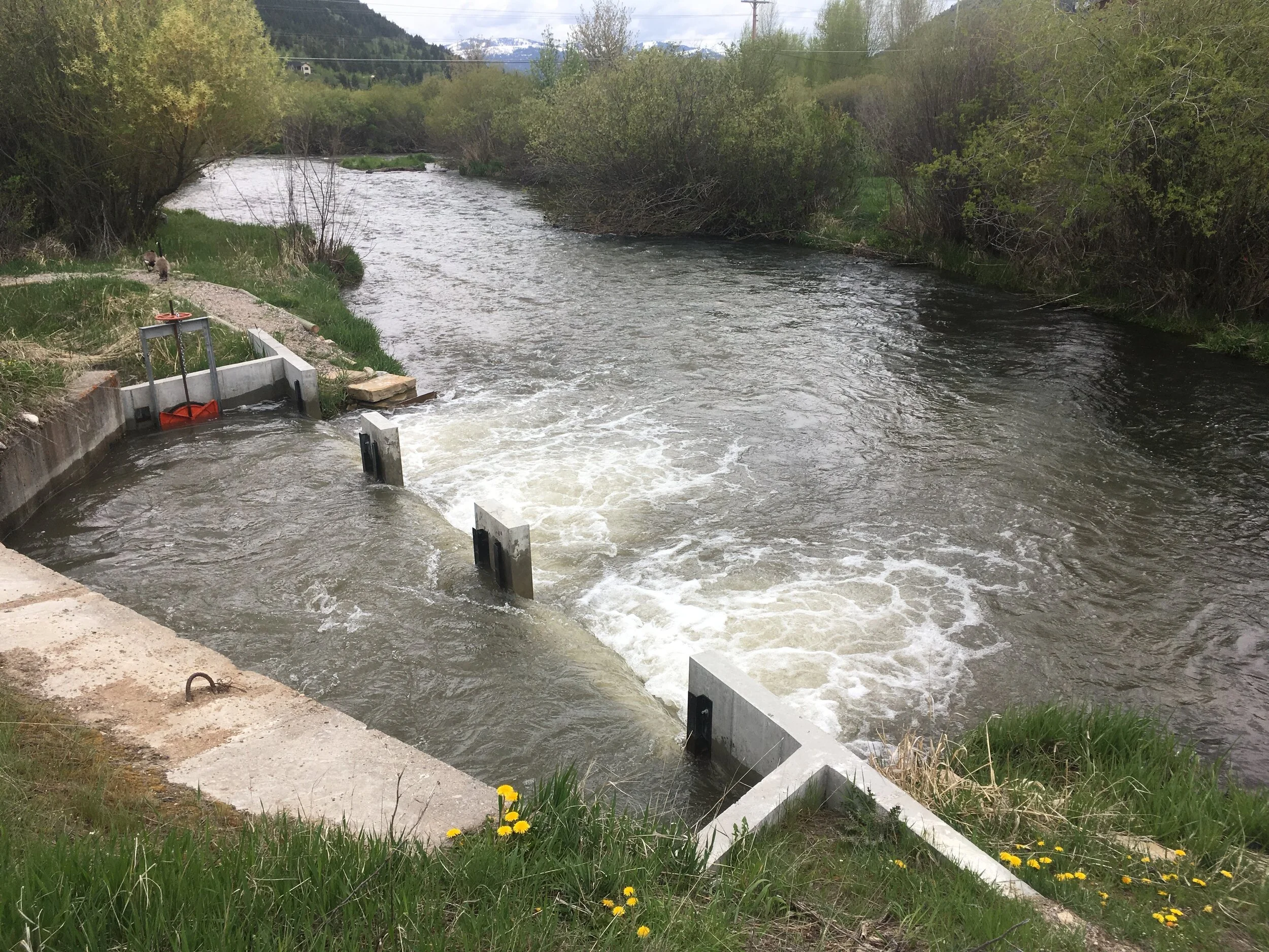 Artist wanted to help ‘daylight’ Cache Creek Tube